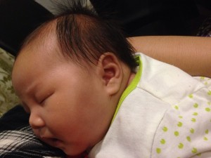 IMG_5041[1]